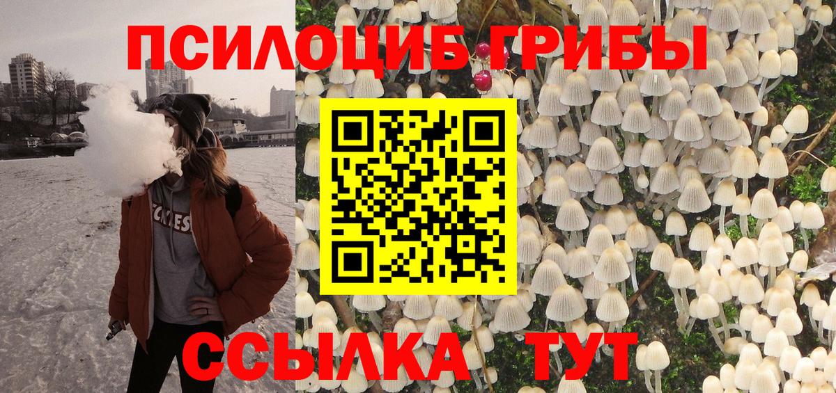 Псилоцибиновые грибы мицелий  Вход с VPN  Новодвинск  Псилоцибиновые грибы прущие грибы 