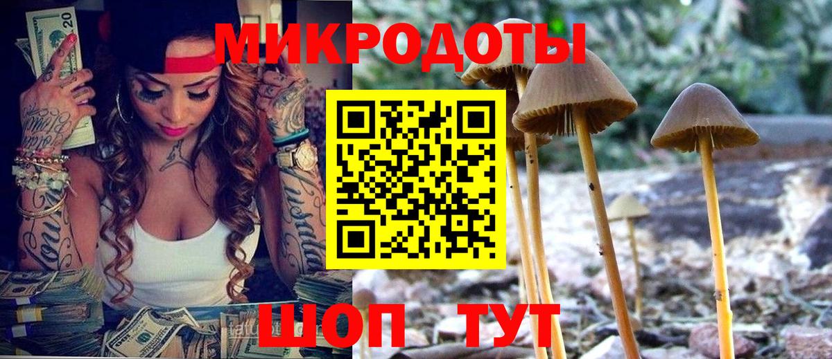 Галлюциногенные грибы MAGIC MUSHROOMS Новодвинск
