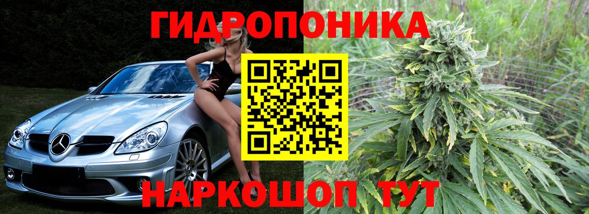 Шишки марихуана OG Kush Новодвинск